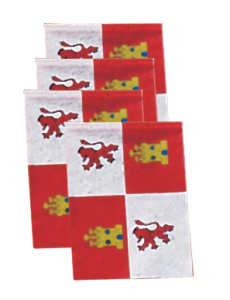 Banderas Fiestas Castilla y León