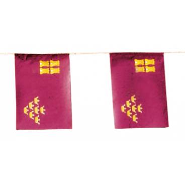 Banderas Murcia Papel 50 M.