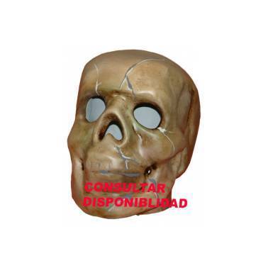 Cabezudo Infantil Calavera