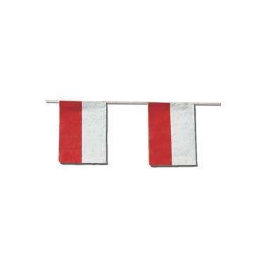 Banderas Cantabria Papel 50 M.